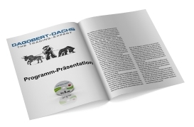 Programm-Presentation (PowerPoint)